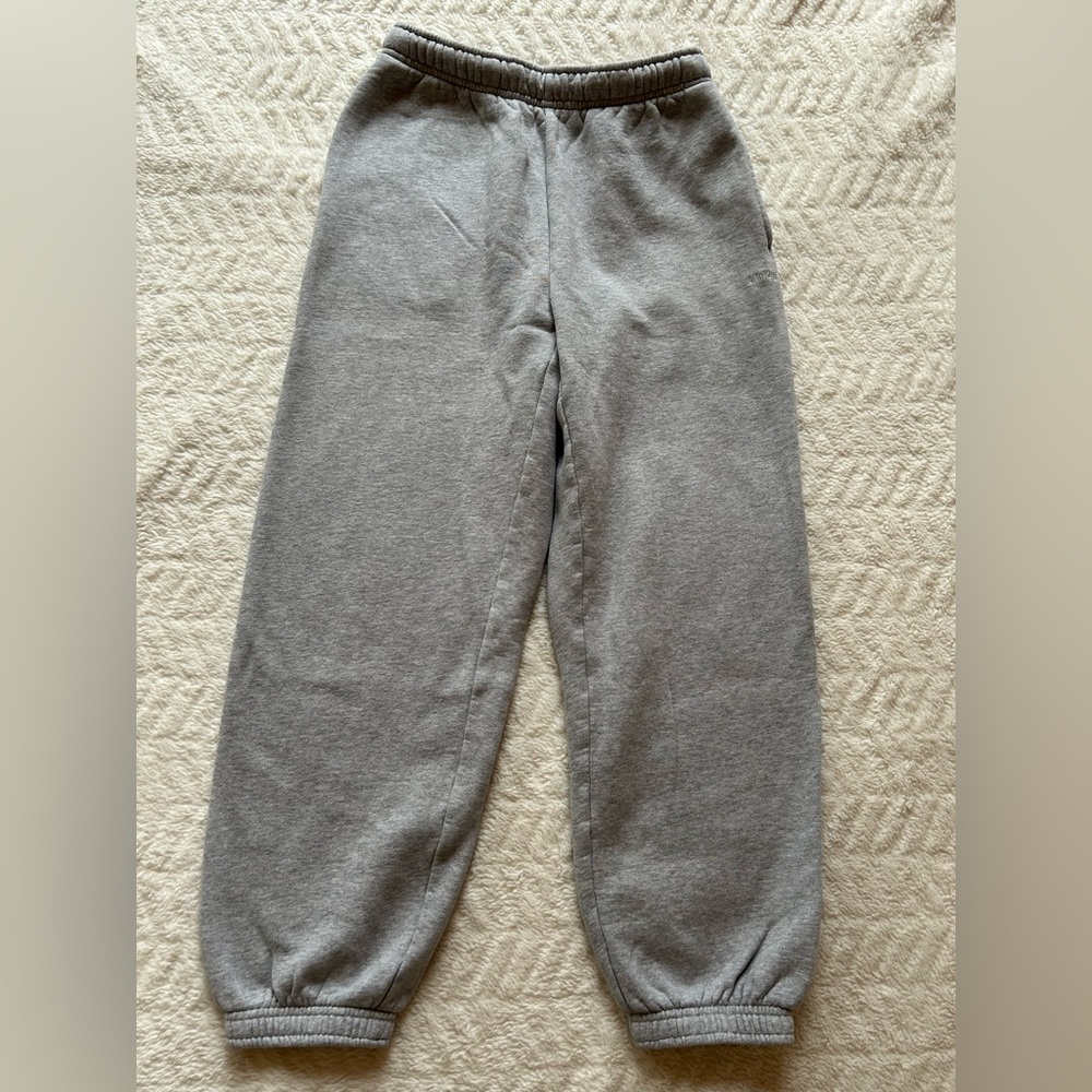 Aritzia Sweatfleece Cozy Fleece Mega Fit Jogger Grey XS